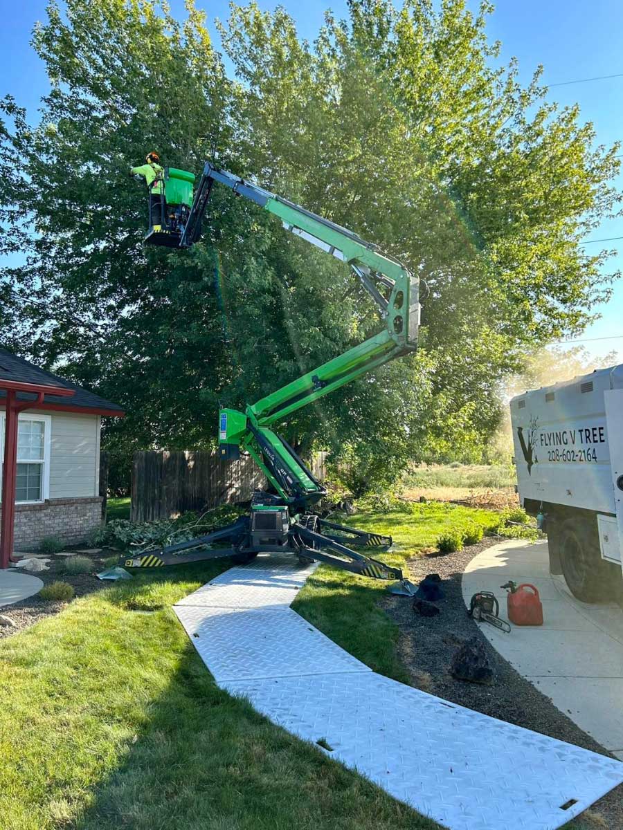arborist ground protection mats arborist ground protection mats