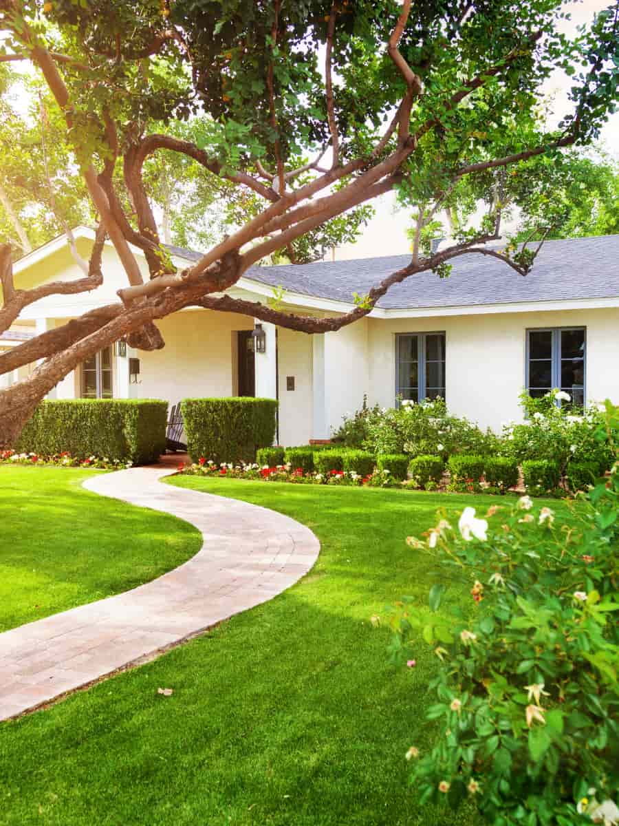 lawn looking great after ground protection mats lawn looking great after ground protection mats
