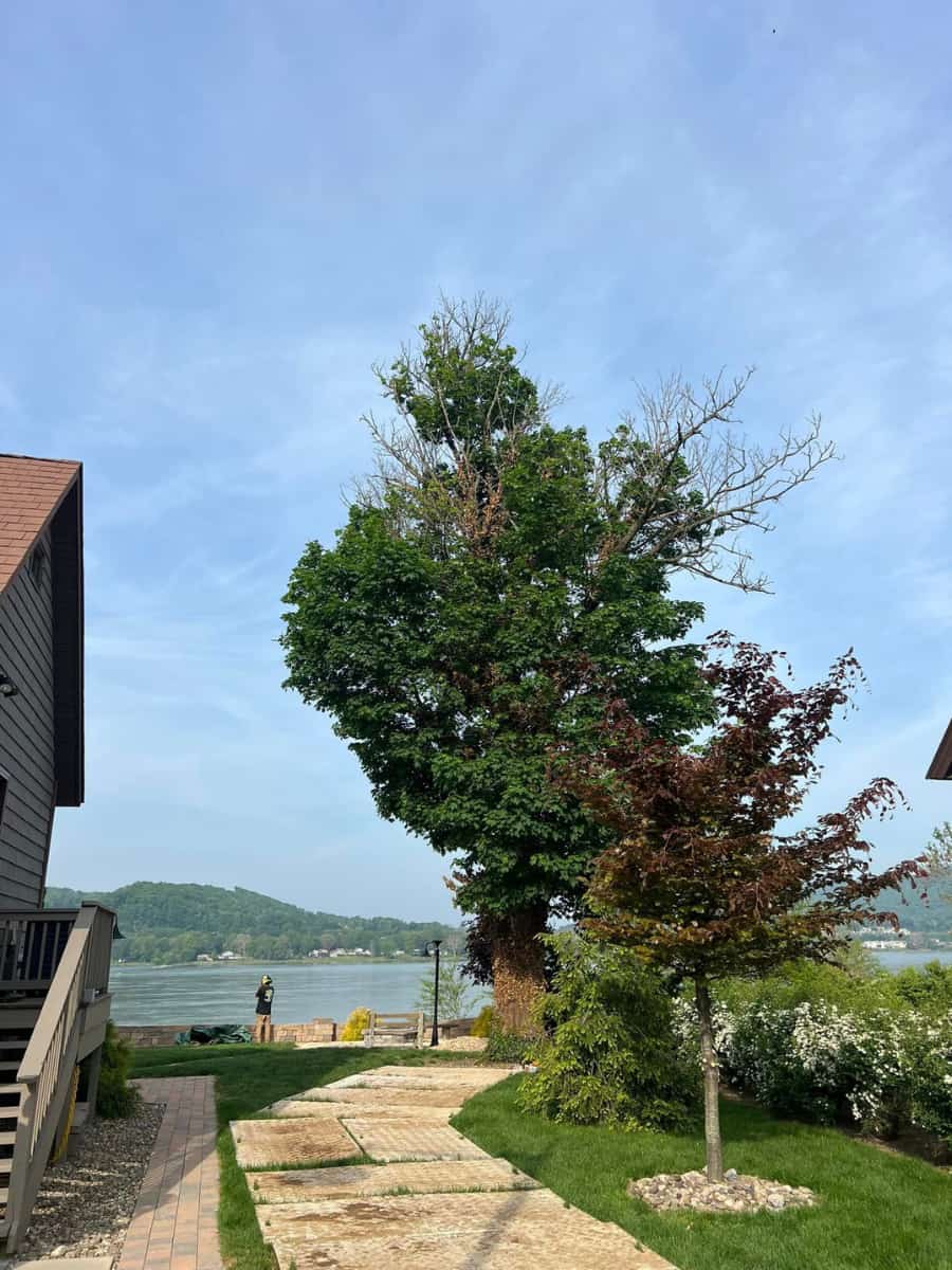 ground protection mats being used ground protection mats being used